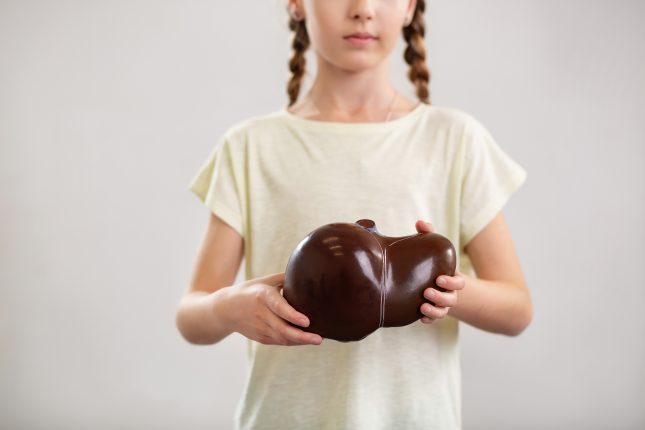 ילדה מחזיקה דגם של כבד. תפקוד הכבד השתפר מיידית לאחר הביופסיה