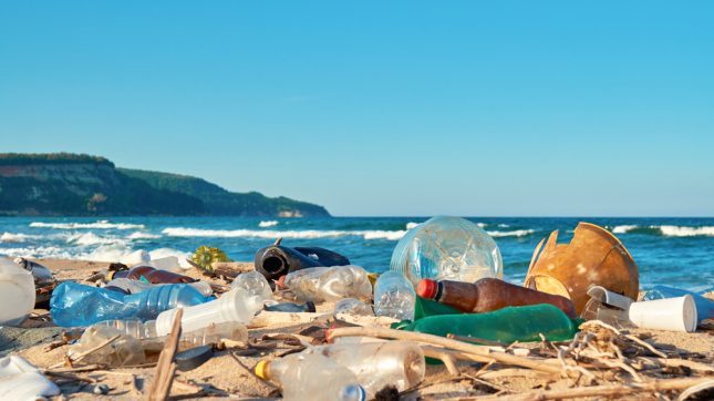 פסולת פלסטיק בחוף הים. אילוסטרציה