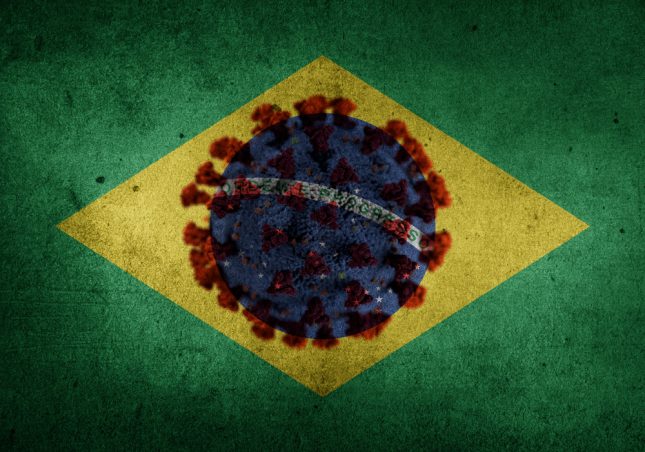 הוריאנט הברזילאי. אילוסטרציה