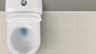 אסלה. אילוסטרציה