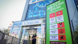 תו ירוק, הכינו את התעודות. צילום: אבשלום ששוני/ פלאש 90