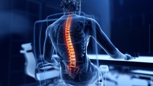 ארגונומיה. להפחית פגיעות שריר-שלד