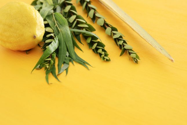 ארבעת המינים. אילוסטרציה