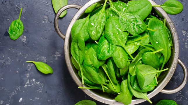 תרד. אילוסטרציה