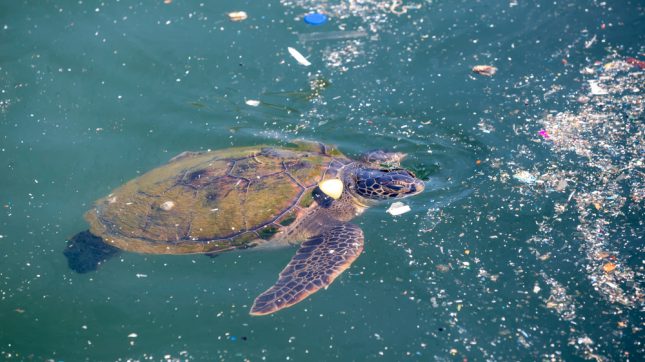 חלקיקי פלסטיק. אילוסטרציה
