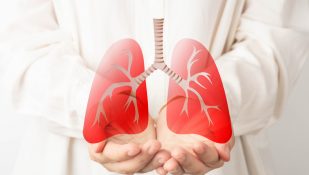 ריאות. אילוסטרציה