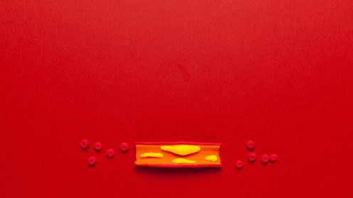 כולסטרול. אילוסטרציה