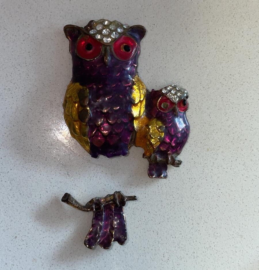 המגנט שנבלע. צילום: דוברות מאיר