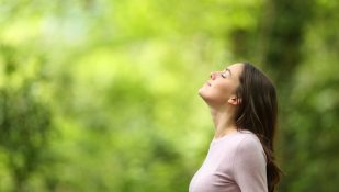 בילוי בטבע. אילוסטרציה