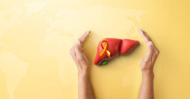 הפטיטיס, מחלת כבד. אילוסטרציה