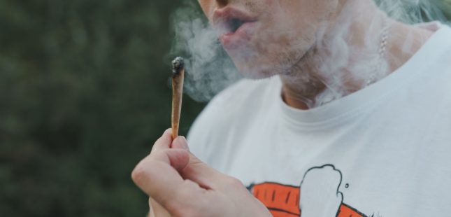 קנאביס. אילוסטרציה