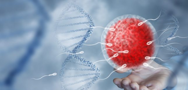 פריון, גנטיקה, זרע וביצית. אילוסטרציה