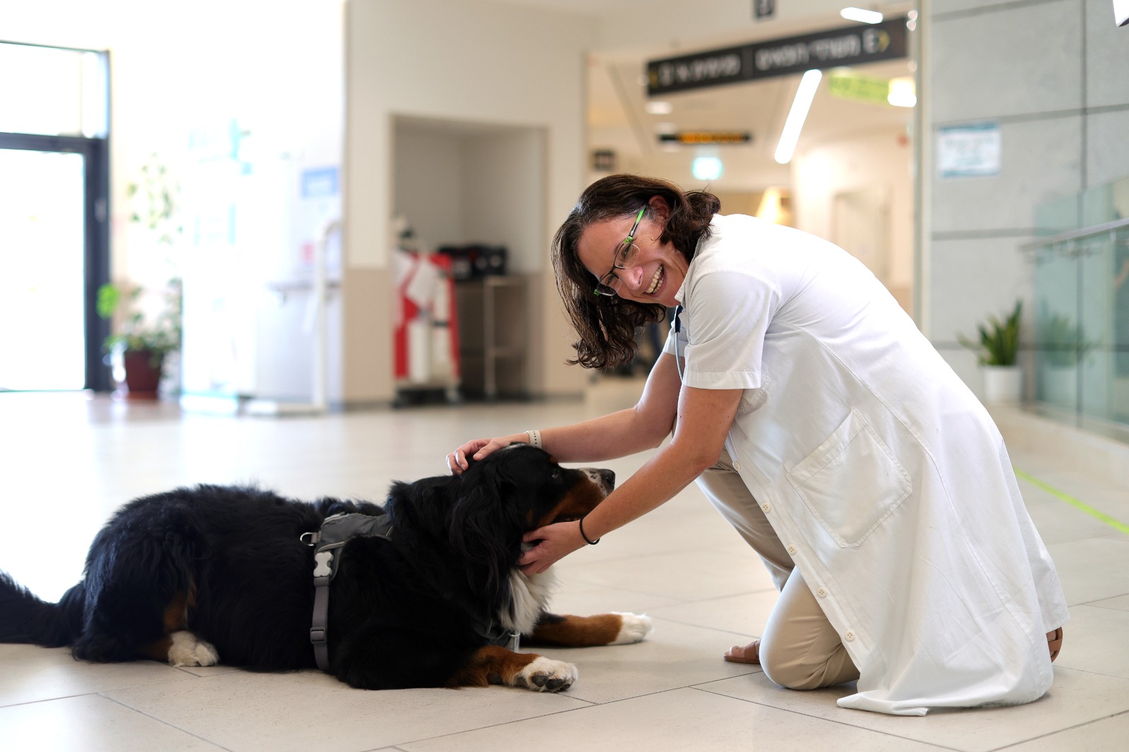 דר חפצי גרין